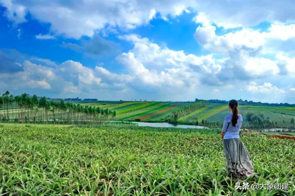 湛江菠萝海在哪个地方,湛江的菠萝海在哪里