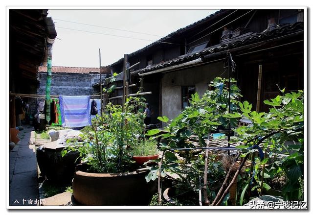 奉化江口南渡村拆迁,千年古村浙江