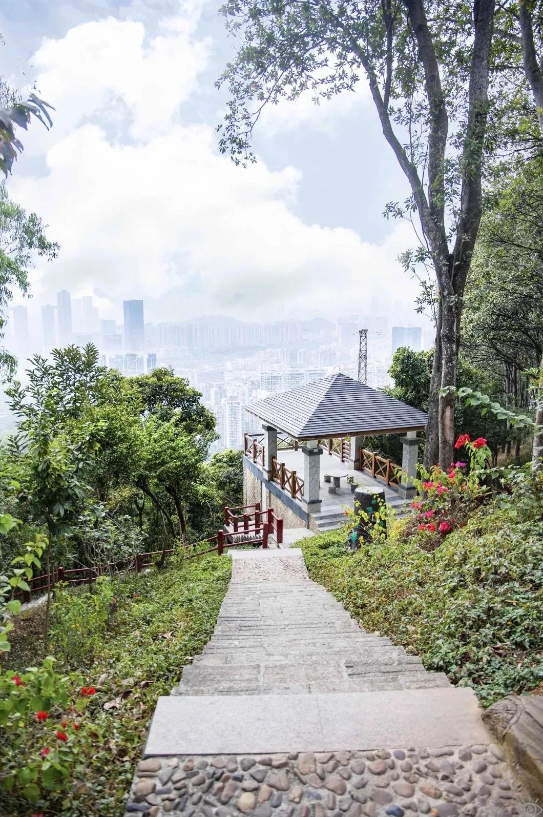 9号线上有什么景点吗,9号线游玩攻略大全