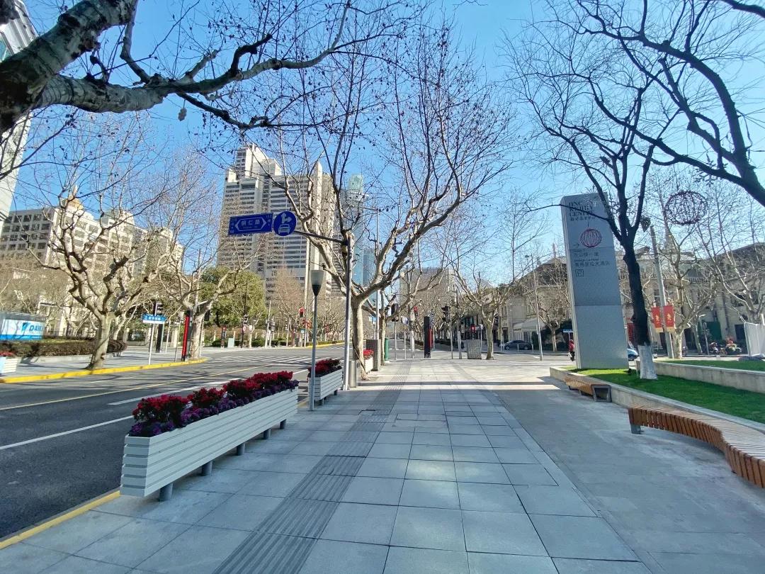 上海2月4日天气,上海2月10日天气