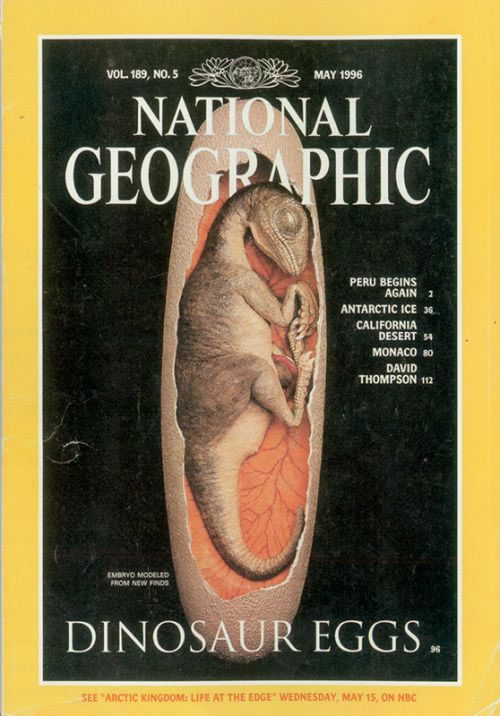 中国的最强恐龙是什么恐龙,中国已发掘的最大恐龙叫什么恐龙