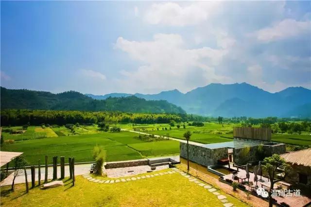 温州楠溪江好的主题民宿排名,楠溪江醉香楼客栈