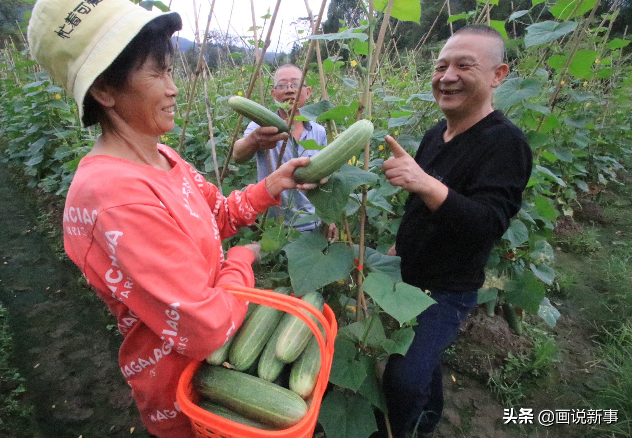 福建连城文亨南坑村,福建省连城县文亨镇南坑村