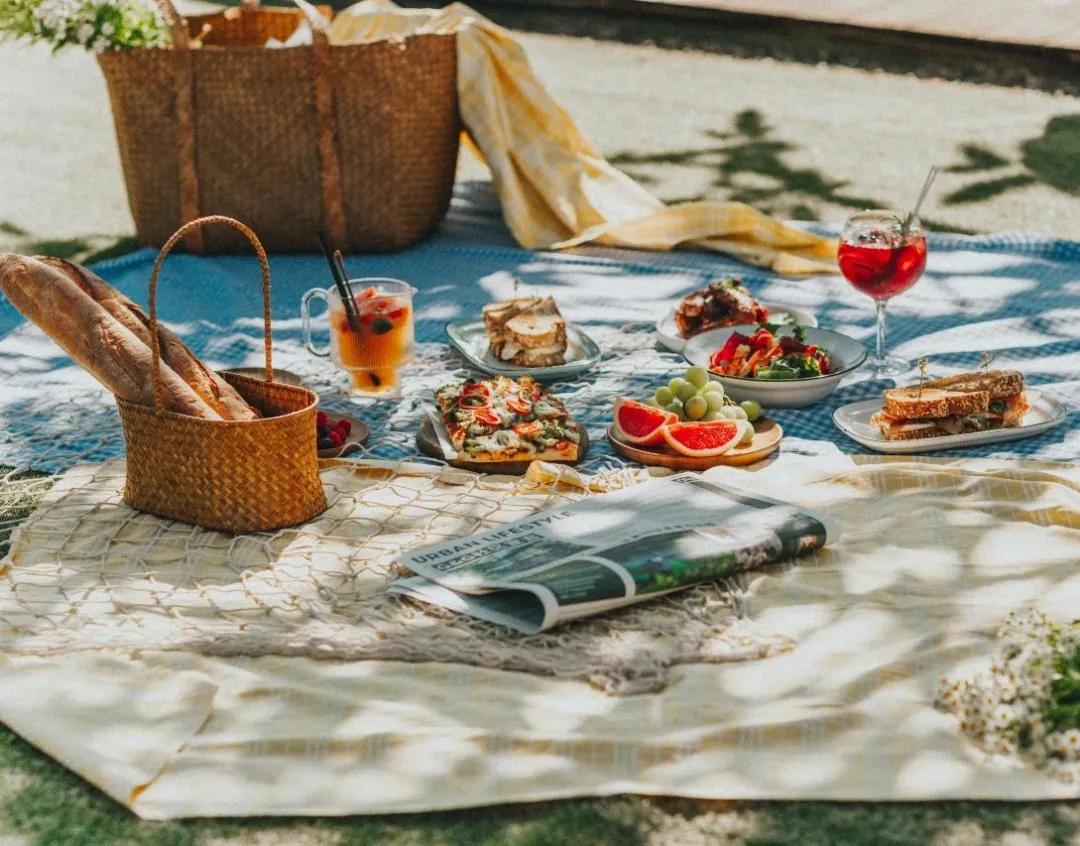 爱宠大机密作战计划,爱宠大作战作战计划