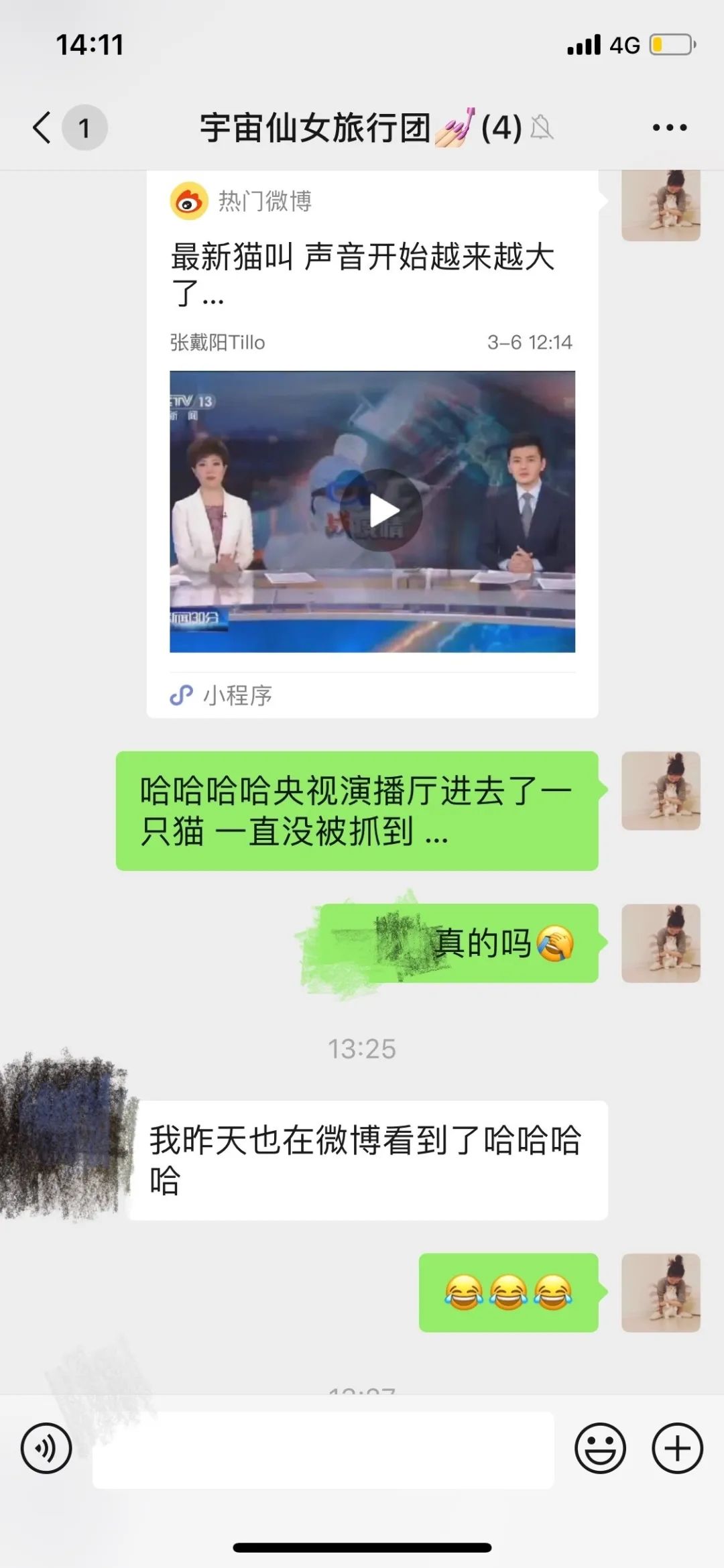 央视直播间猫叫背后原因,央视养猫辟谣