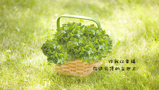 对幸福的理解小学生作文,小学生以幸福为话题的作文