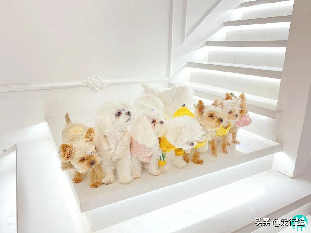 藏在写字楼里的服装店,藏在写字楼里的小店