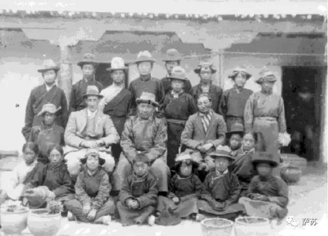 这种*疆新**特有的暗夜精灵，为何在人类视野中消失了90年？