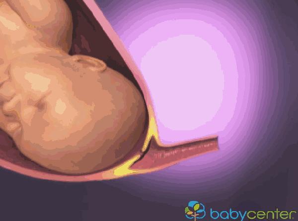 胎儿离开母体可以存活多久,胎儿脱离的瞬间