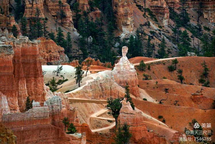 鍖楃編鏋儏闃虫柊,鍖楃編鏋儏鍥剧墖