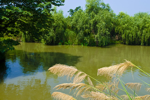 杭州最好的景点打卡排行榜,杭州萧山看飞机网红打卡点