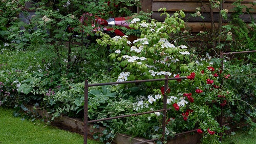 切尔西花展举办,2020年切尔西花展抢先看