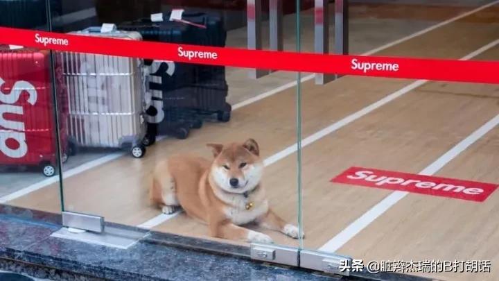 杰瑞讲述汤姆事件,杰瑞回应高管事件