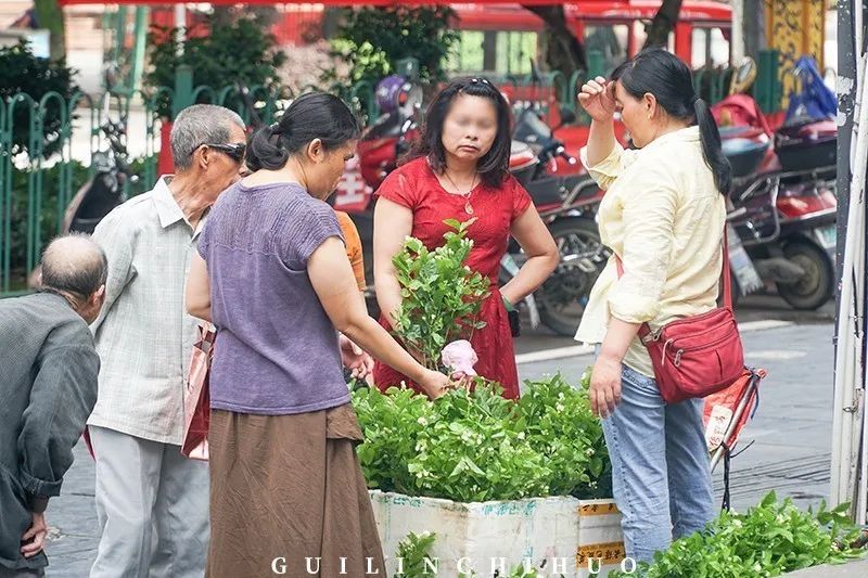 灵川县商贸城,灵川县县城商贸城