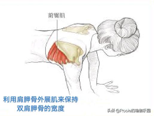 大腿粗壮怎么减最快瘦下来,大腿粗怎么瘦大腿最快方法