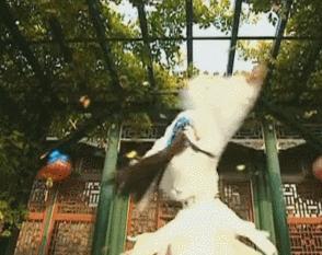 陈意涵30岁之前的十件事,陈意涵究竟有多放飞自我