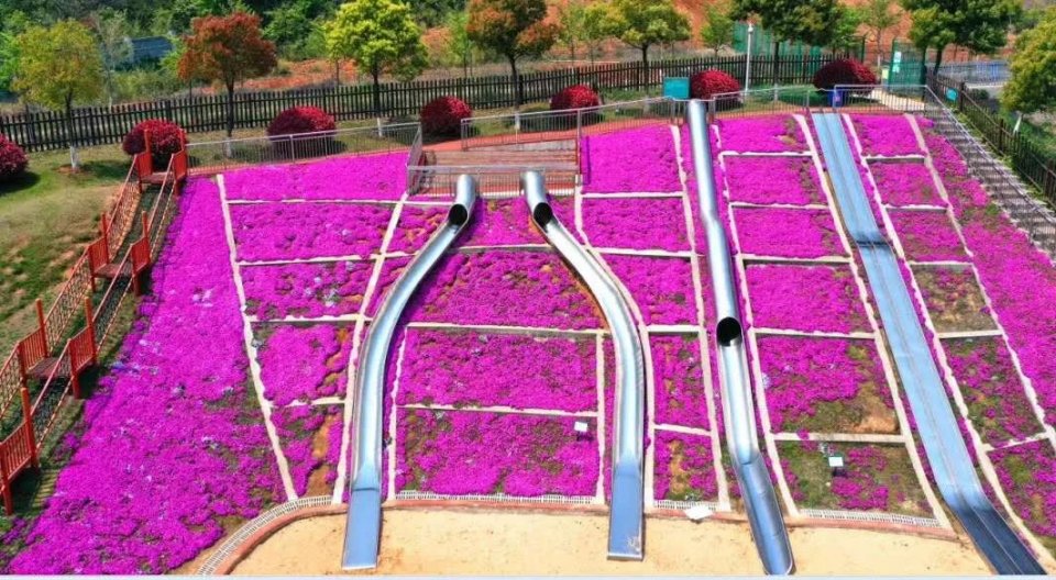 五一不能错过的花海,五一不能错过的美丽花海