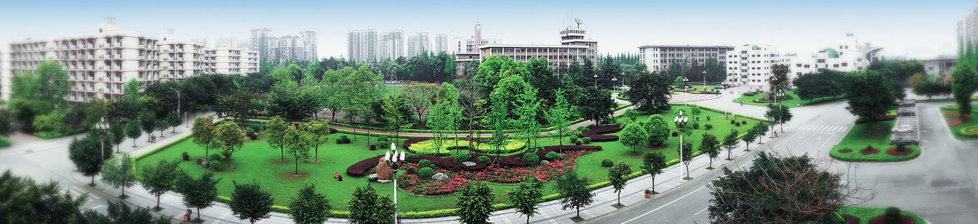 四川排名前十高专,四川省医专院校有哪些