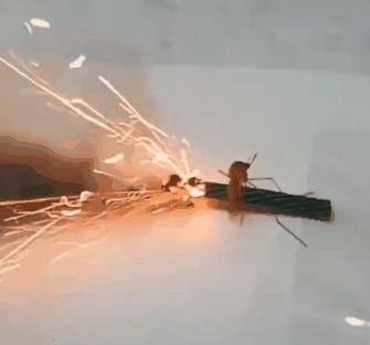 各种搞笑方法干掉蚊子,如何一次干掉100只蚊子