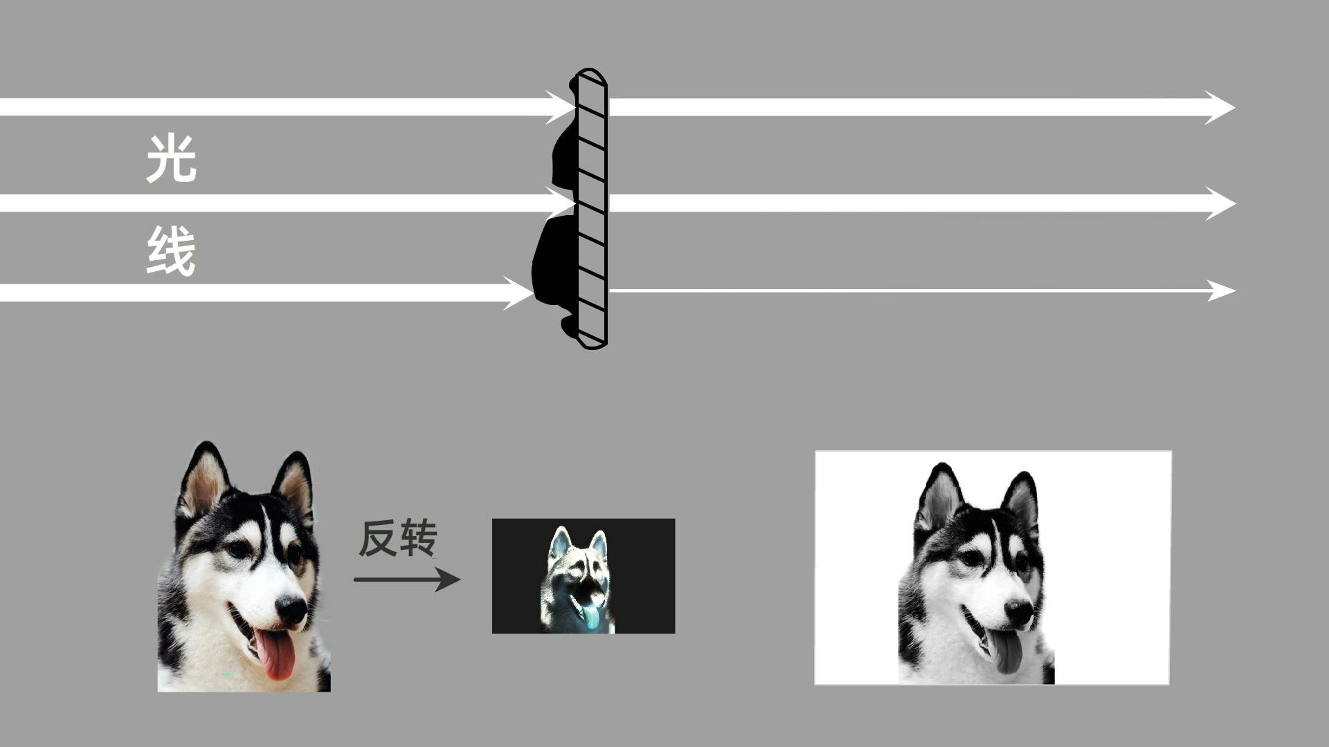 冲洗底片原理动画图,传统底片的冲洗的流程