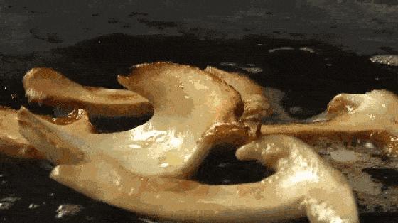 雅江松茸9月份还有卖吗,雅江松茸怎么购买