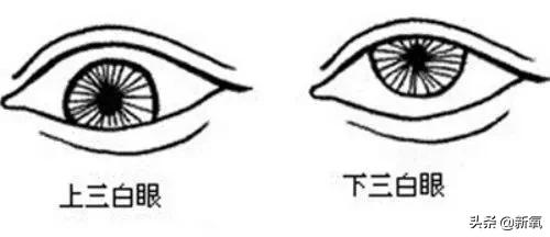 自带情绪的眼睛,最近流行三白眼美人