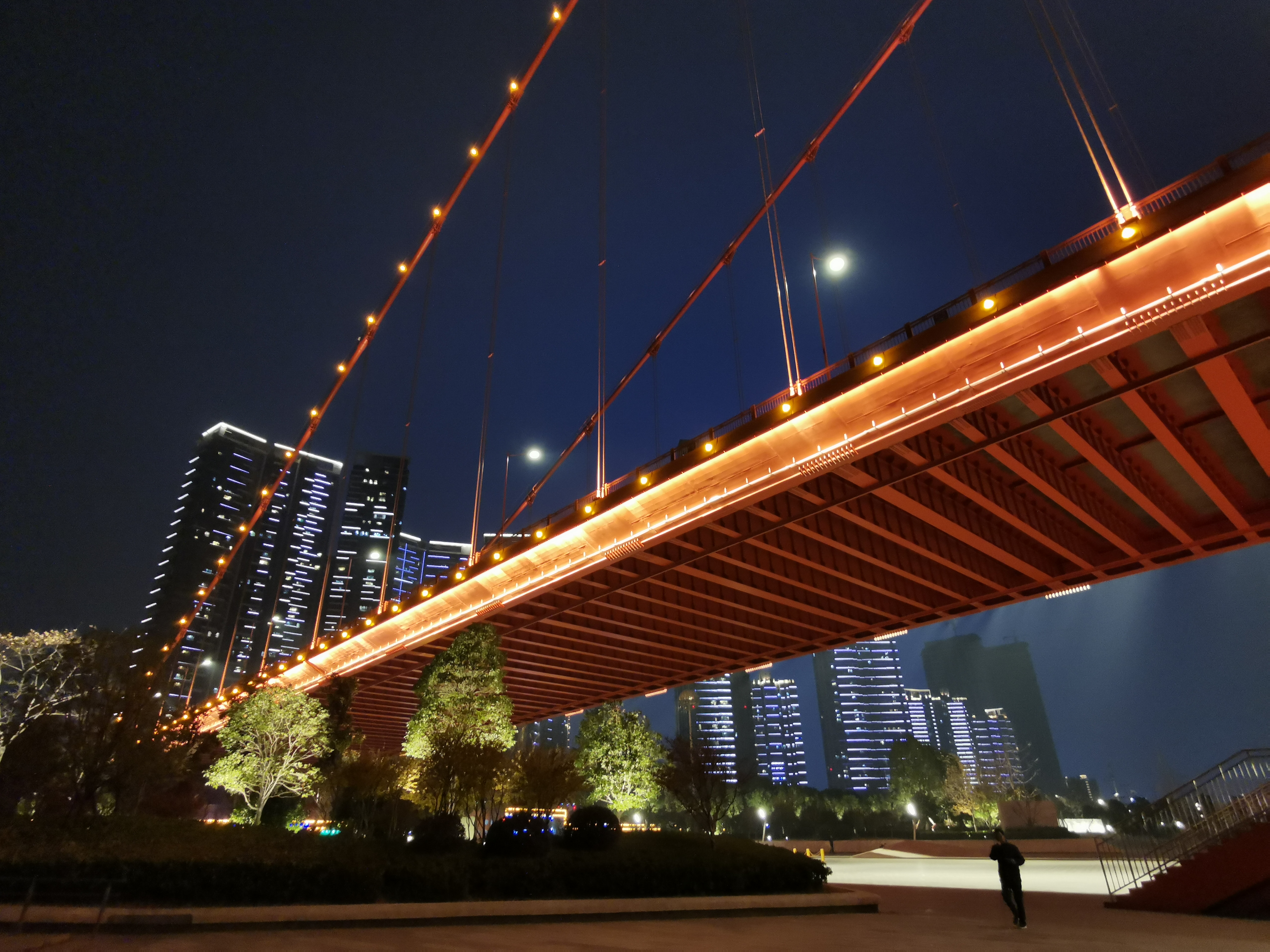 甲鱼店优势劣势,2019全国甲鱼销量