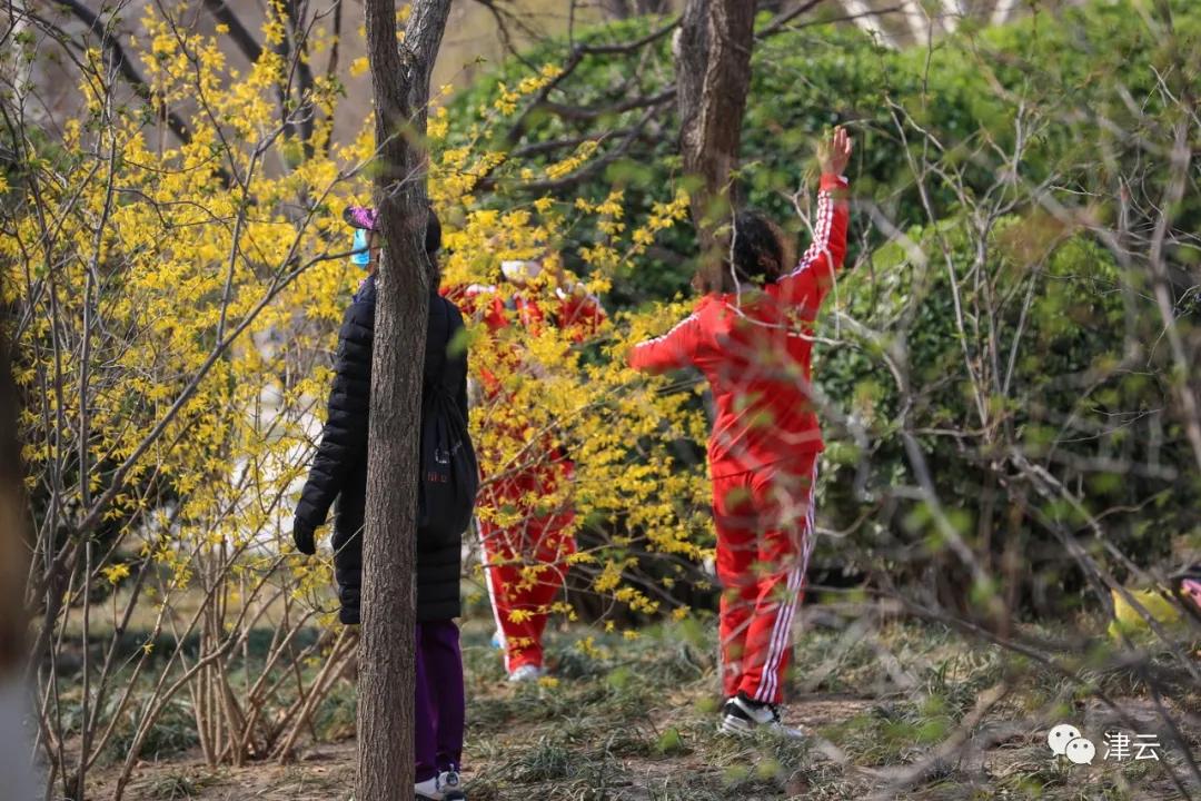 天津2022哪些公园恢复开放,天津2022年四月开放的公园