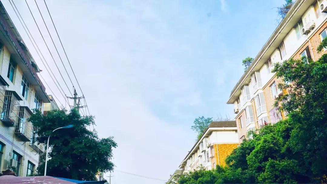 如果可以,请把我留在温江大学城!