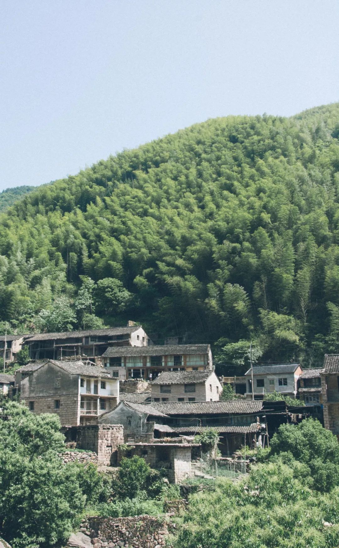 什么是台州畅行码,什么是台州