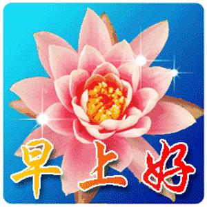 恒大新球场设计被曝,广州恒大球场设计