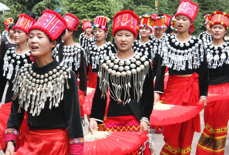 中国56个民族知识大全书籍,关于中国56个民族的知识