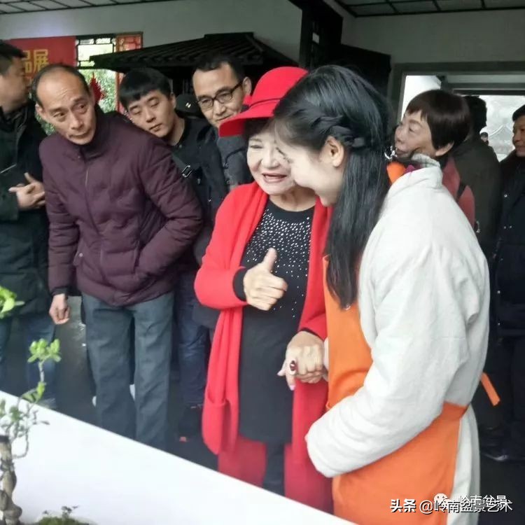 女盆景师丁昕,丁昕盆景