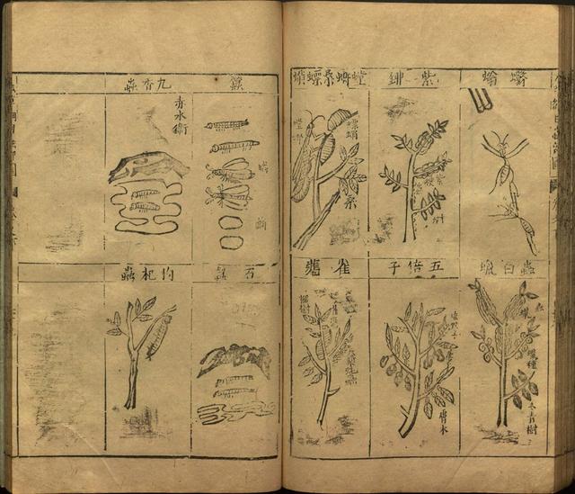 李时珍本草纲目书目录,李时珍本草纲目下卷