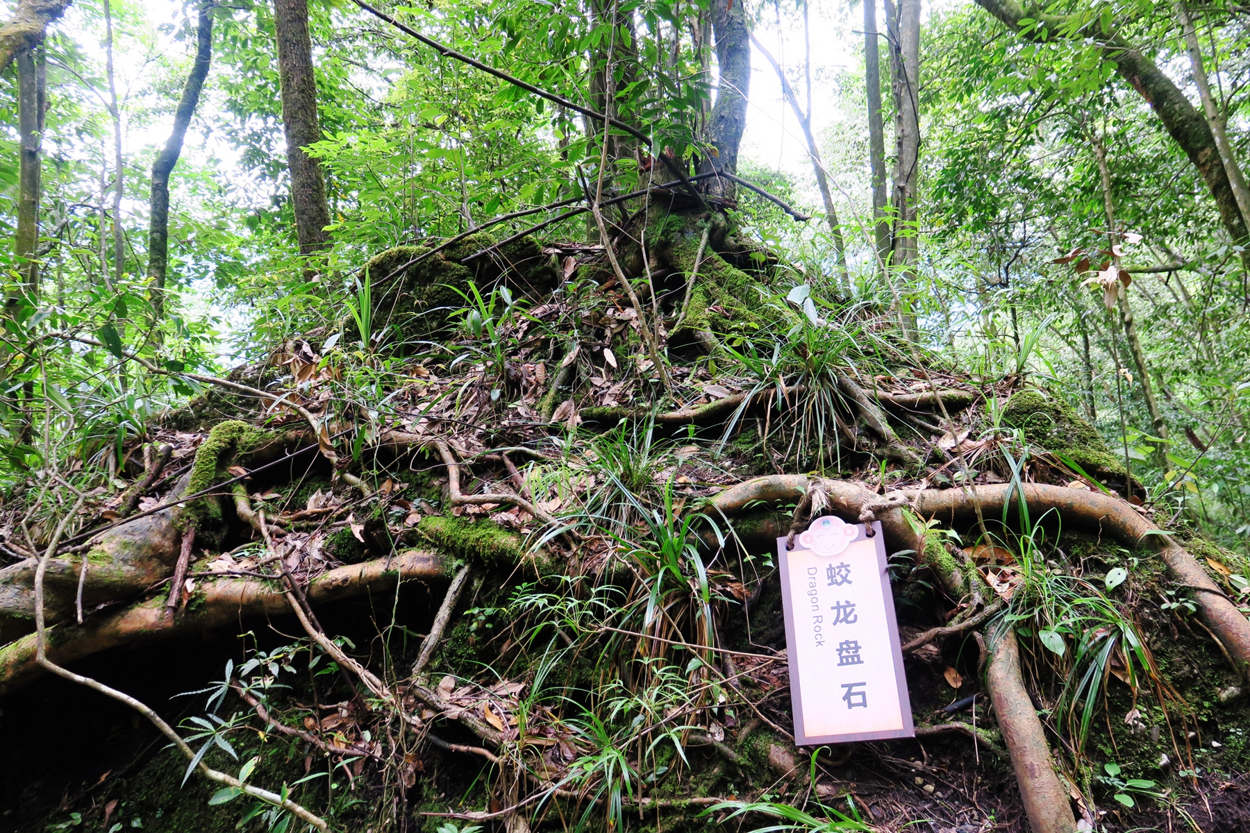 猴山飞瀑,猴山飞瀑旅游区地图
