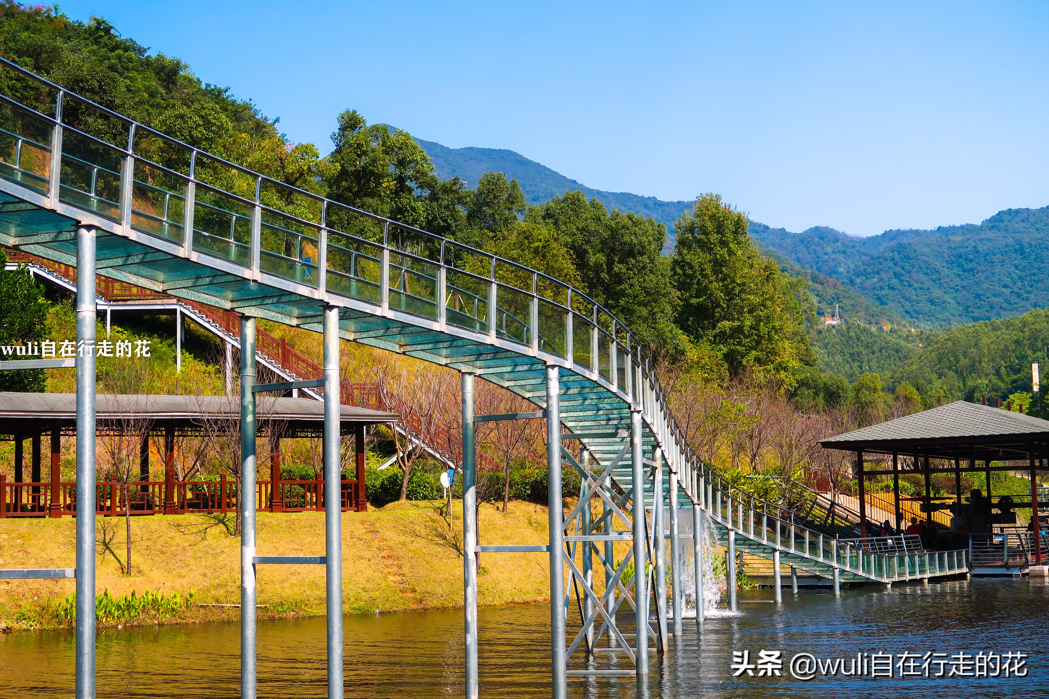 长泰县十里蓝山,漳州长泰十里蓝山攻略