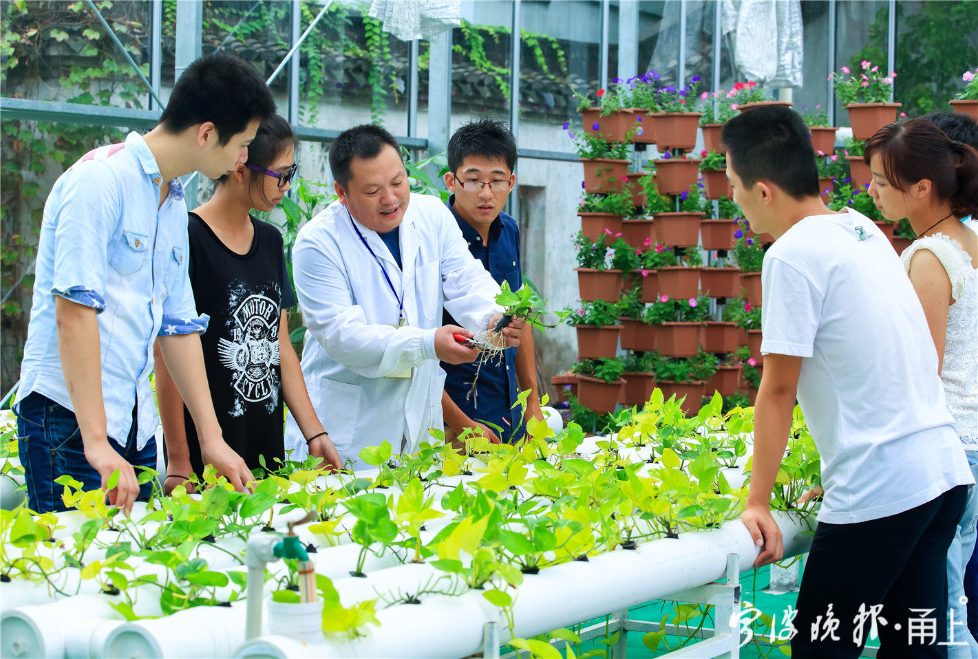 宁波城市职业技术学院校区分布,宁波城市职业技术学院专业有哪些