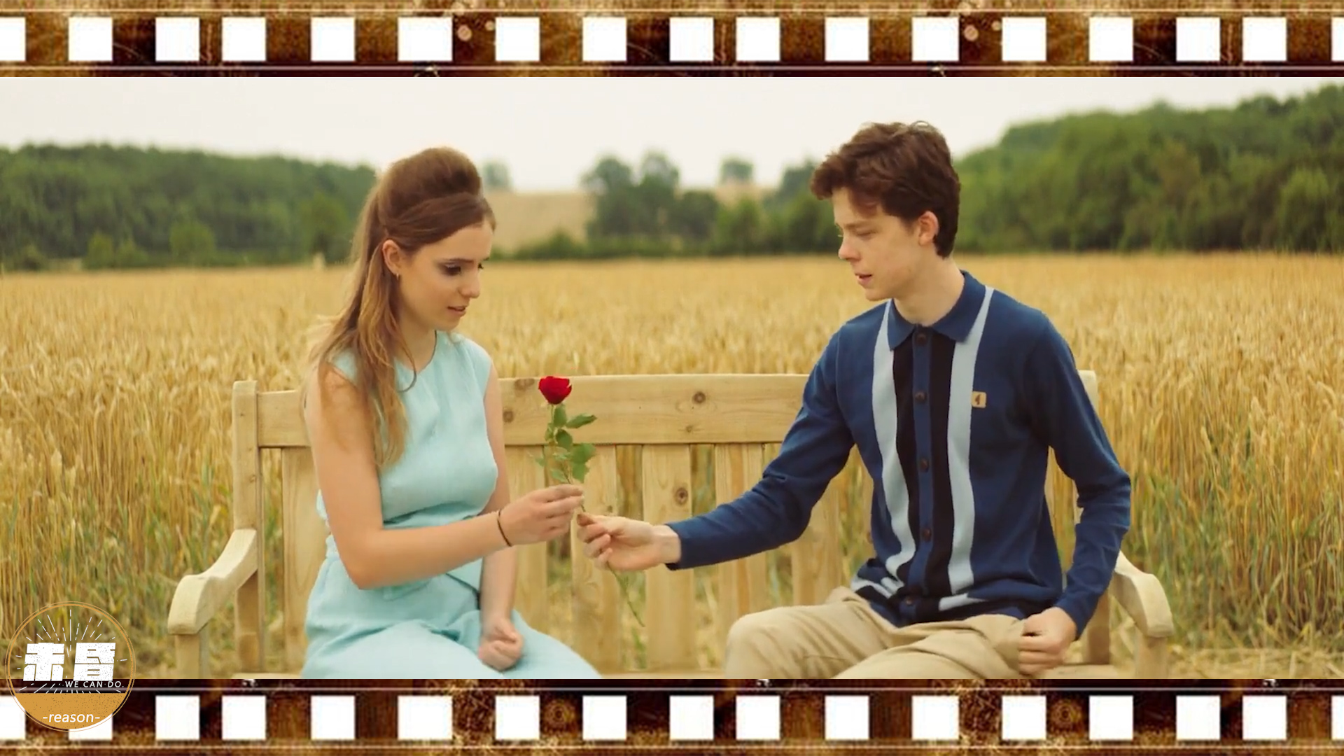 一片麦田完整版,一片麦田一束玫瑰