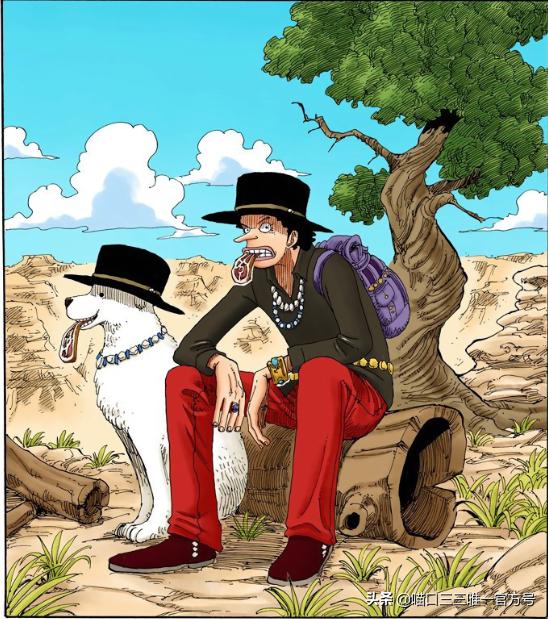 海贼王娜美登场是哪集,海贼王金狮子剧场版娜美