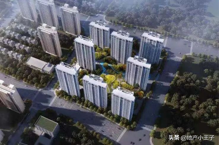 2019年摇红盘,摇不到的红盘