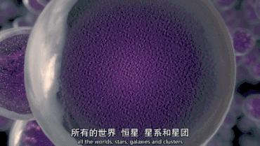 9.7分的史诗级巨制,9.6分这才是今年必看史诗大片