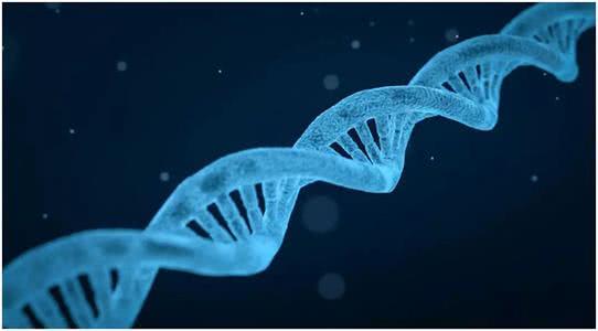 有口腔溃疡之后,最勇敢的事情就是咬破它,和上面撒盐你敢做吗