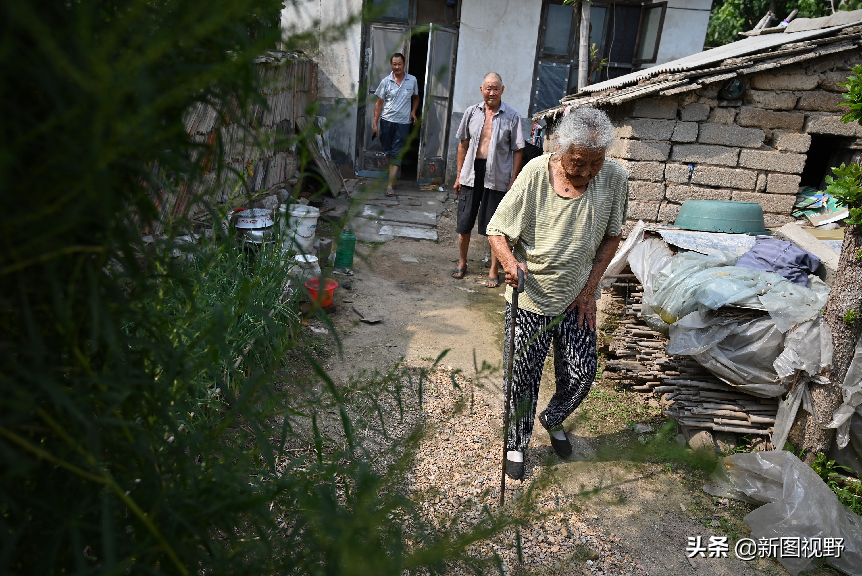 77岁儿子谈长寿经验，100岁母亲插话说出生活秘诀，极具人生智慧