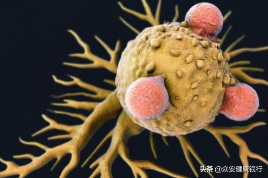 科学家如何利用新型抗体疗法治疗多种人类疾病？