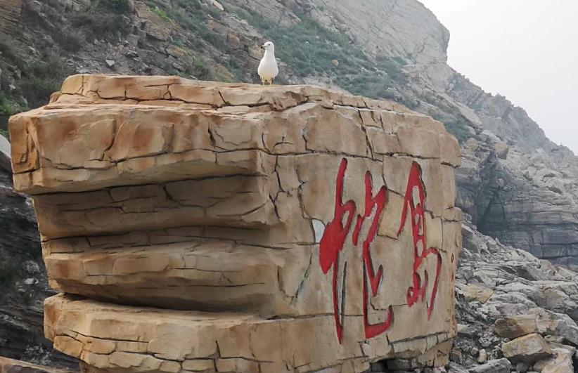 蛇岛为什么有千万条蛇,为什么蛇岛有这么多蛇其他岛没有