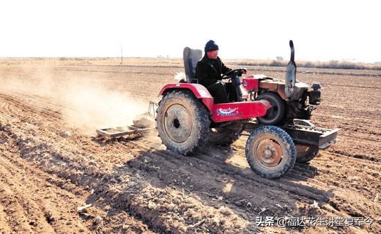 如何确保花生一播全苗,花生种植实行全程技术指导服务