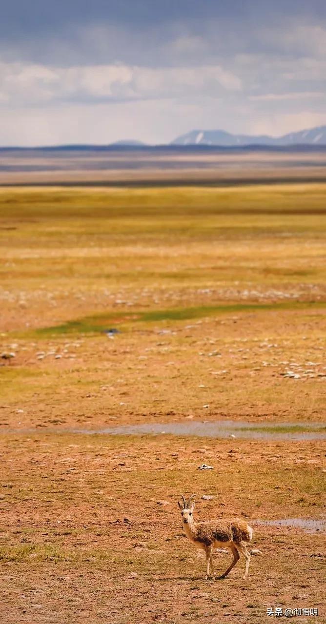 全世界最美50处旅游景点,全球公认世界最美的10个地方