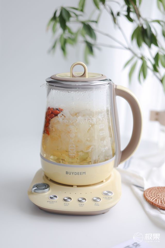 北鼎养生壶可以煎中药,北鼎养生壶适合煲中药吗