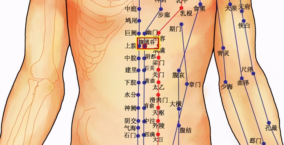 灵枢经脉篇背诵,灵枢经脉是什么意思
