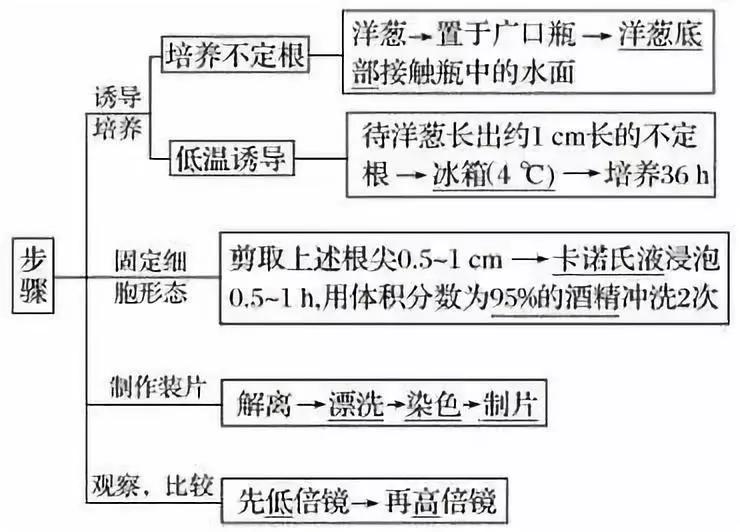 河南高中会考生物必背知识点,生物显微镜实验视频高中